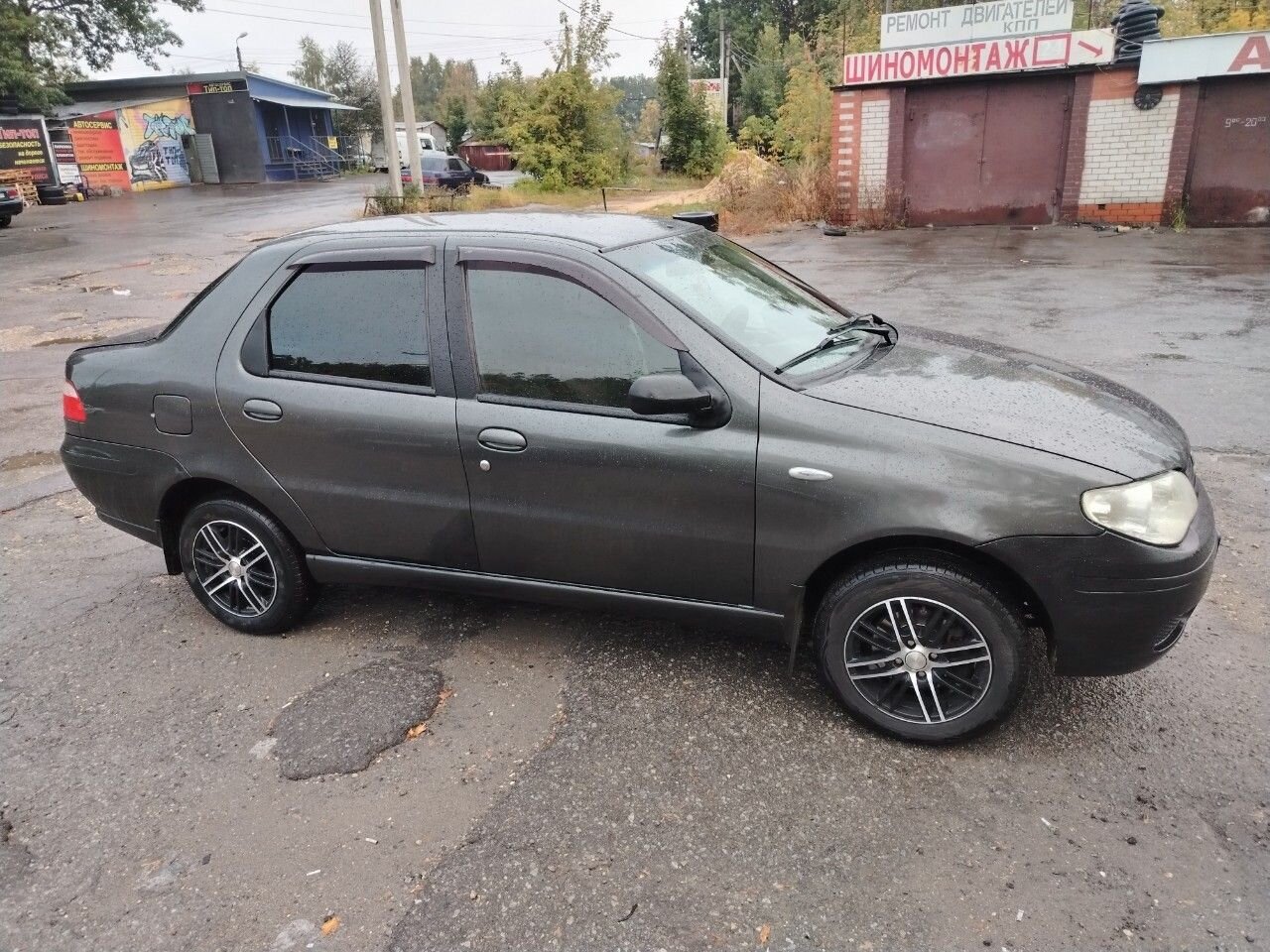 FIAT Albea: фото из отзыва