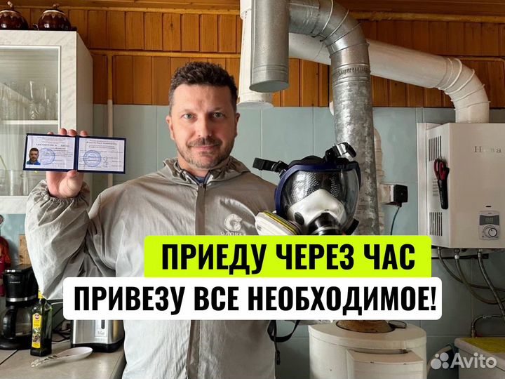 Уничтожение тараканов дезифекция