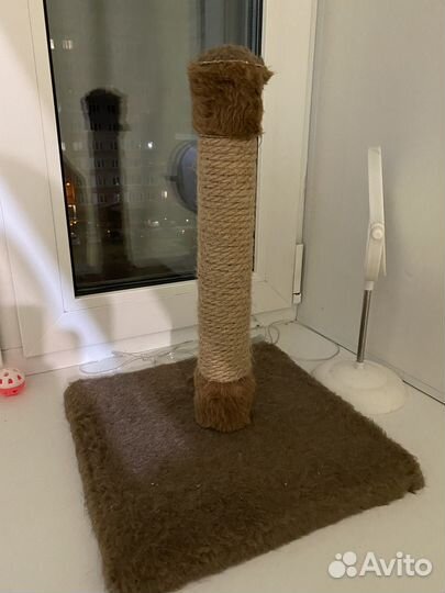 Когтеточка