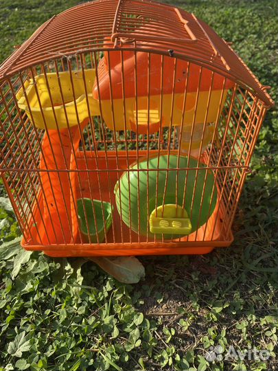 Клетка для грызунов