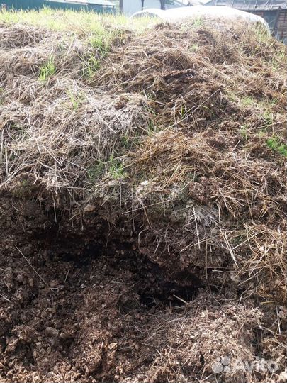 Продается навоз