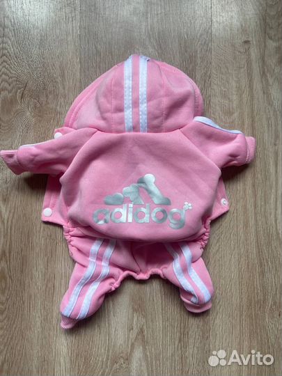 Одежда для животных