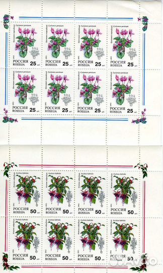 Малые листы