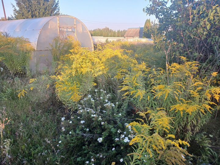 Участок 6 сот. (ИЖС)