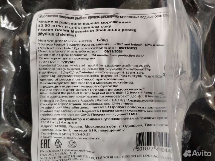 Мидии в раковине