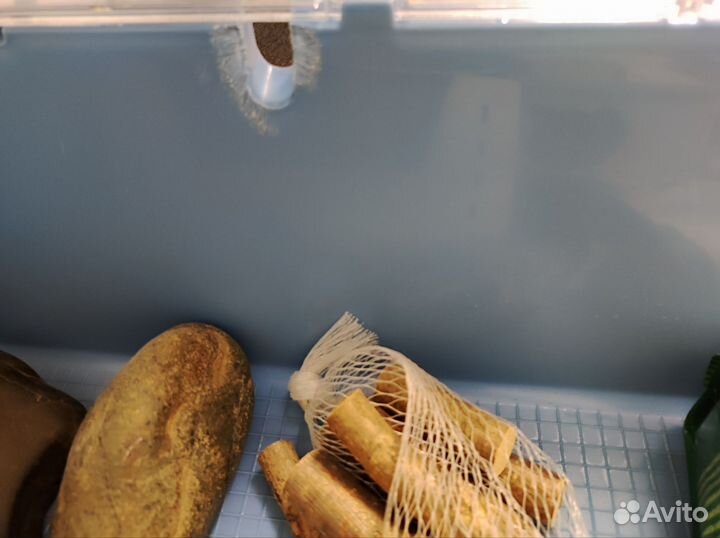 Клетка дюна для грызунов Ferplast duna multy