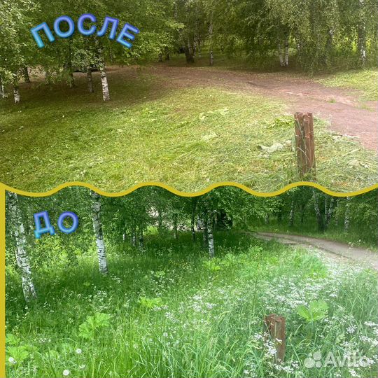 Покос травы,расчистка участка,корчевание пней