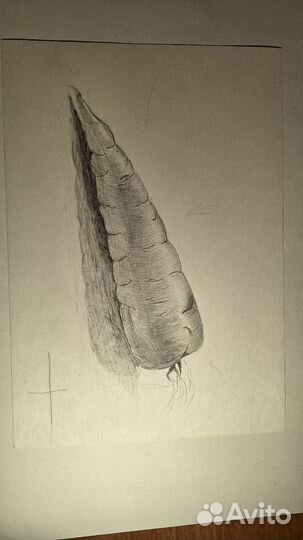 Академический рисунок зарисовки а4