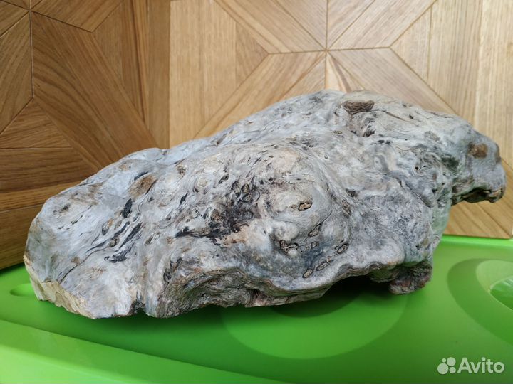 Кап заготовка для чаши