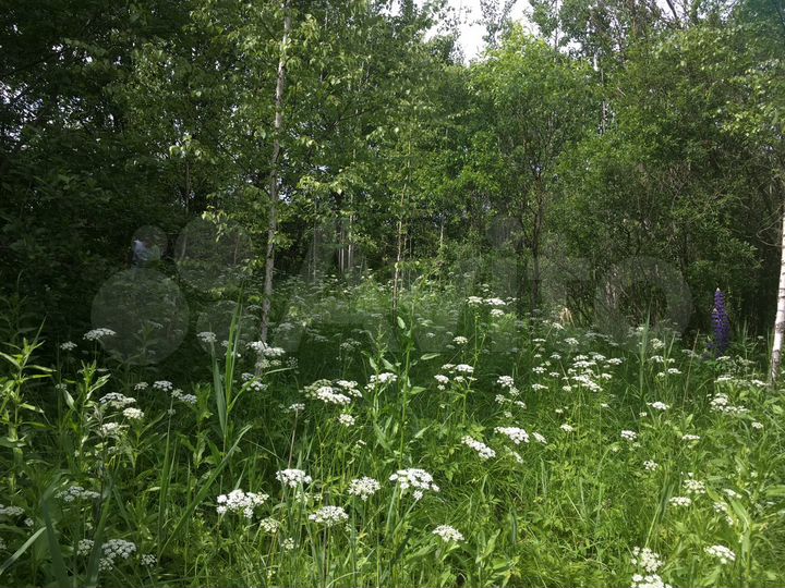 Участок 54 сот. (ИЖС)