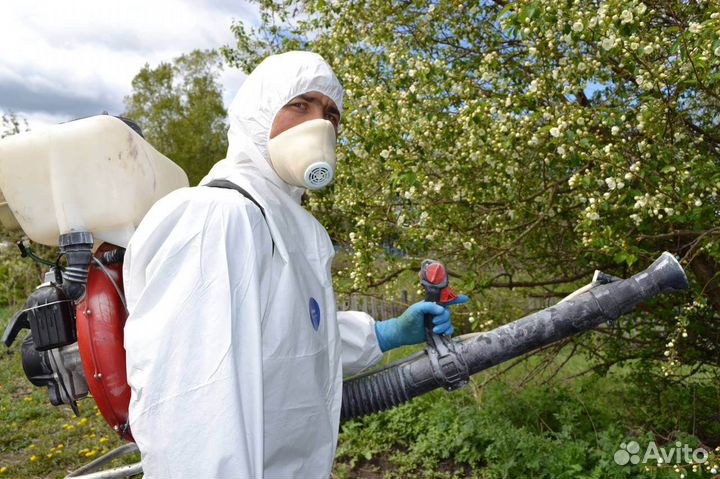 Обработка участка от клещей, комаров, мошек