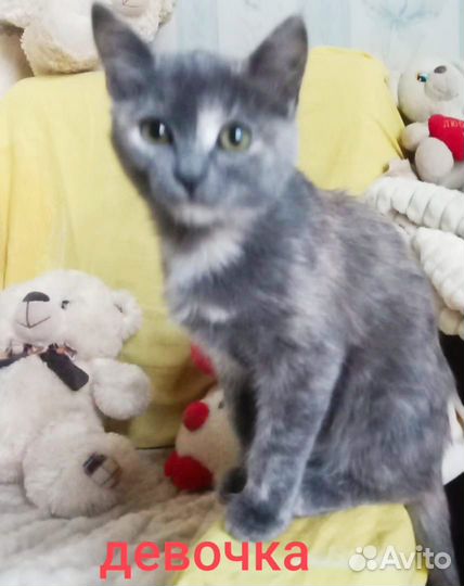 Возьми меня