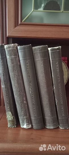 Атлас анатомии человека. В.П. Воробьев 1946г