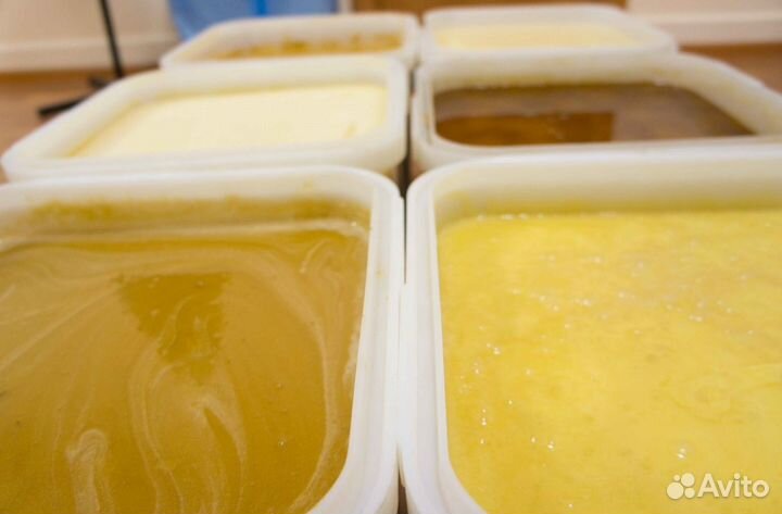 Мед натуральный с Алтая оптом