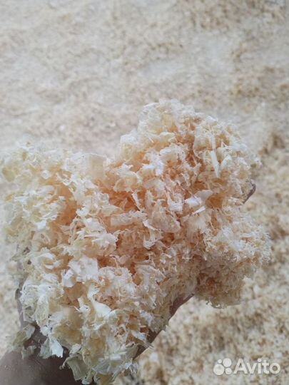 Опилки сухие стружка