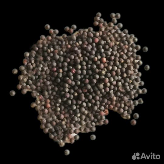 Семена микрозелени оптом и в розницу