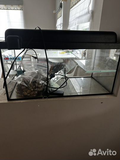 Аквариум, террариум