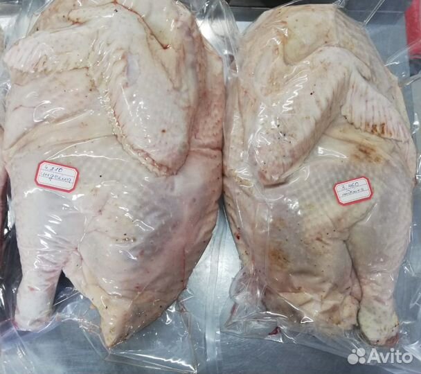 Мясо домашней индейки