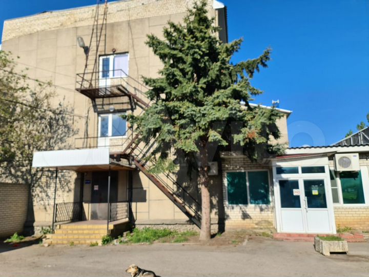 Свободного назначения, 1004.6 м²