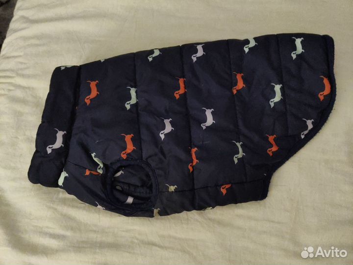 Одежда для средних собак