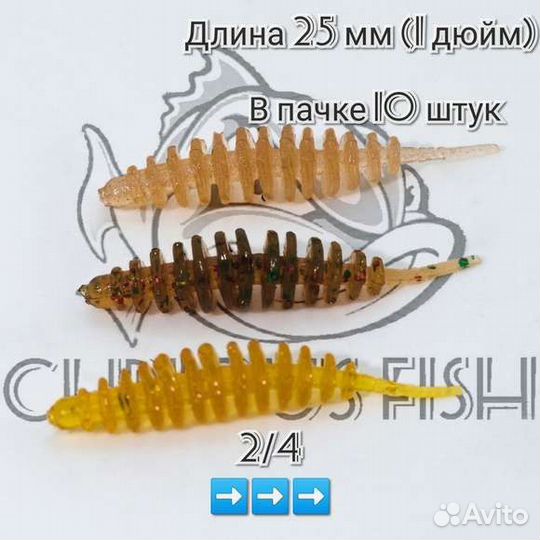 Curious Fish Leech Dance Slim 1 дюйм (25мм)