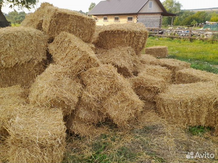 Продам сено люцерна и солома в тюках