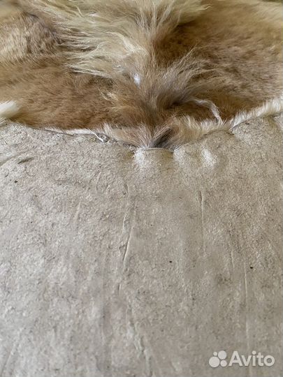 Шкура Лошади (Коня)