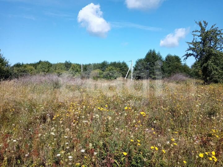 Участок 11,4 сот. (ИЖС)