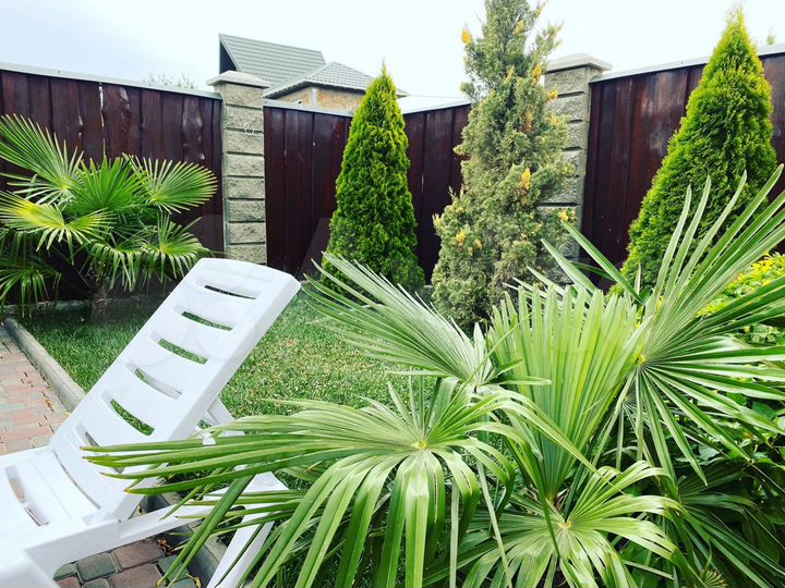 Комната 20 м² в 8-к., 1/2 эт.