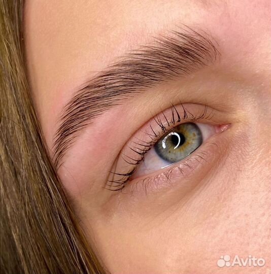 Мастер бровист