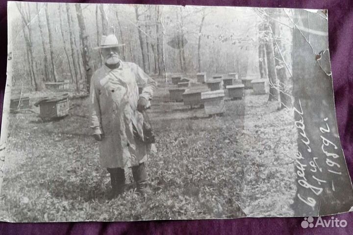 Мёд жидкий-Греча, липа, акация