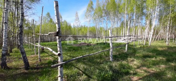 Участок 15 сот. (ИЖС)