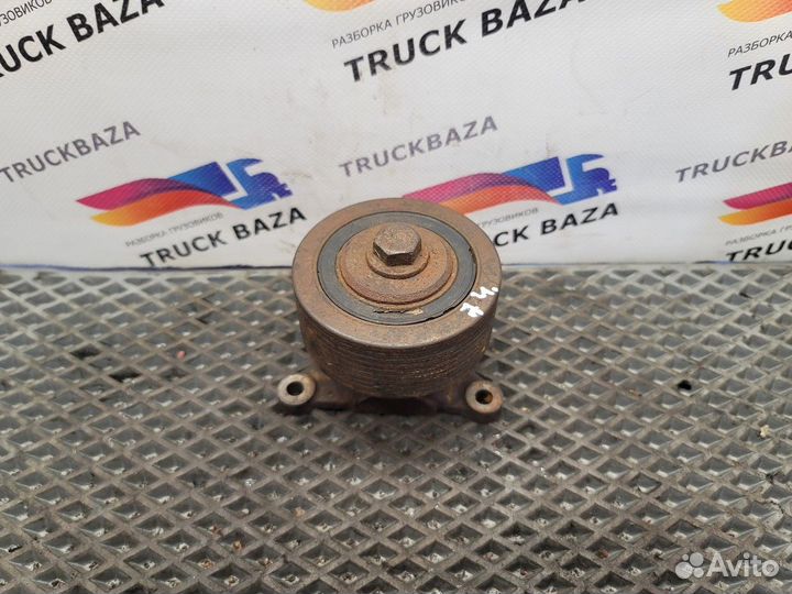 5010477176 Натяжитель приводного ремня