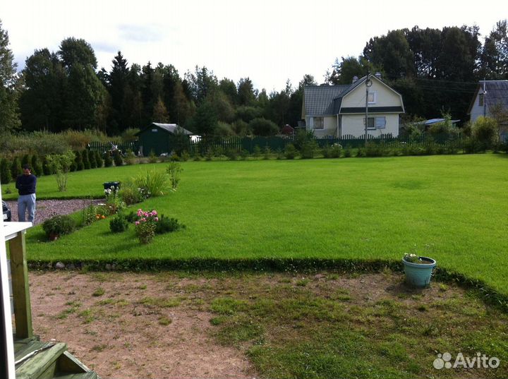 Рулонный газон