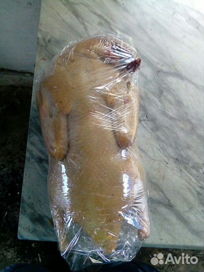 Гусиные туши