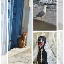 Фотограф Пенза, Пенза
