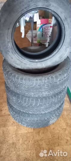 Gislaved Nord Frost 5 205/65 R15 94T