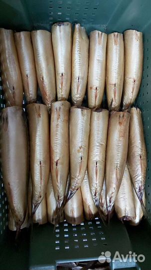 Снеки. Рыба. Сыры. Орехи