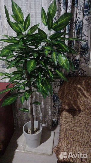 Декоративное дерево