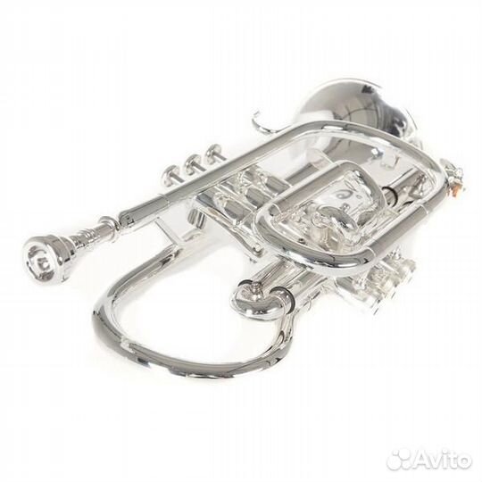 Корнет Roy Benson CR-302S