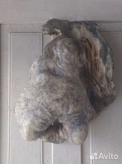 А. Дрифтвуд