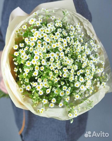 Букет из матрикарии
