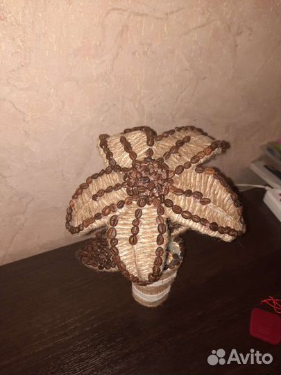 Цветы для интерьера