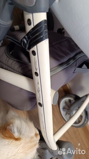Коляска anex sport 3 в 1