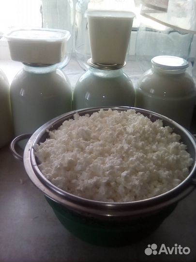 Молоко коровье, творог, сливки