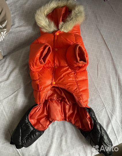 Одежда для собак