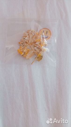 Сухоцветы для творчества