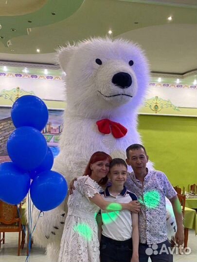 Белый медведь