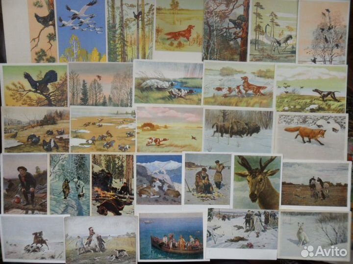 Охотники, рыболовы, звери, кони,птицы 1950х-60х г