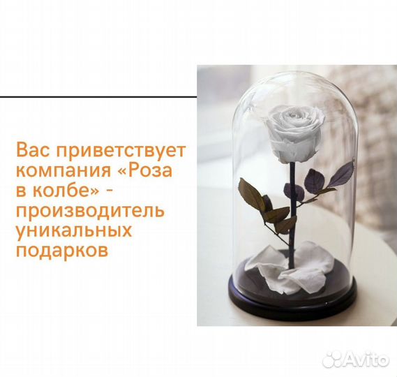 Роза в колбе. Из Эквадора
